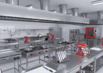 Steward  Proyectos Gastronómicos: Todo el apoyo que necesitas para empezar tu negocio