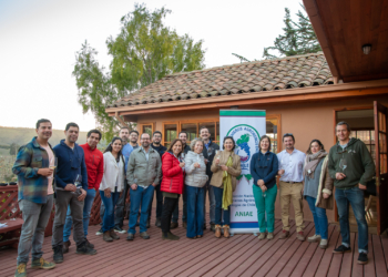 4ª Cata vertical de vinos íconos chilenos