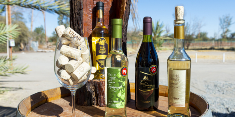 Vino del Desierto: Una alternativa enoturística en el norte
