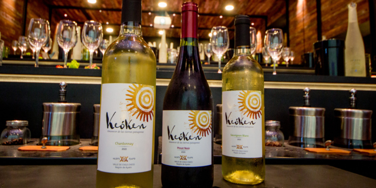 Enólogos, periodistas y especialistas de la industria del vino degustaron Keóken, el vino más austral del mundo