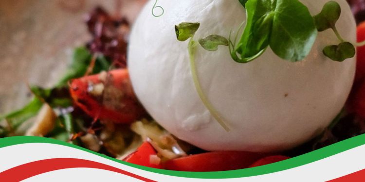 Lácteos Bello País: Innovación, calidad y tradición italiana en quesos Burrata y Ricotta