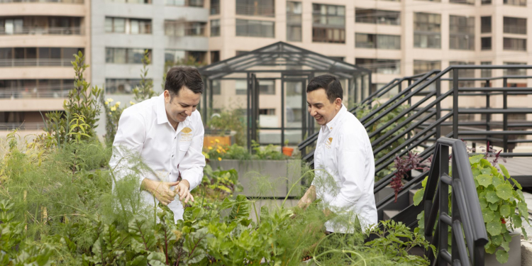 Hotel Mandarin Oriental, Santiago y Enel X presentan  el primer huerto sustentable en altura