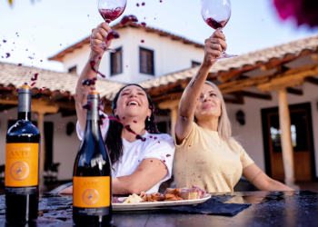 Sustentabilidad, vinos veganos y rescate de cepas: El trabajo de la Viña MontGras
