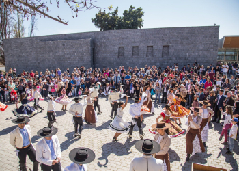 Viña Santa Rita se suma a la celebración del Día  del Vino con tours gratuitos y degustaciones