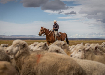 Experiencias para disfrutar de la Patagonia más original