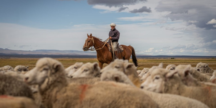 Experiencias para disfrutar de la Patagonia más original