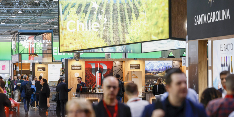 Chile abre las puertas a ProWine Tokyo 2024:  Un brindis por el mercado asiático
