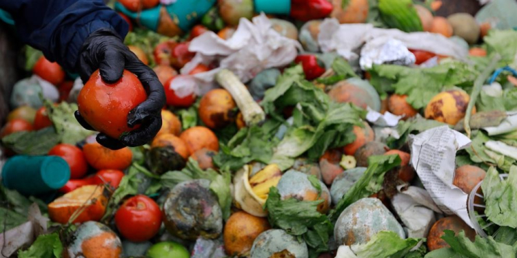 Herramientas digitales para evitar los desperdicios de alimentos