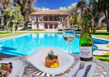 Baco Tours: Especialistas en Enoturismo