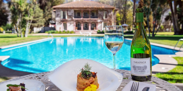 Baco Tours: Especialistas en Enoturismo