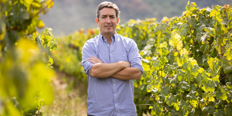 Viña orgánica Emiliana ya es Empresa B y se une a las compañías líderes mundiales en sustentabilidad