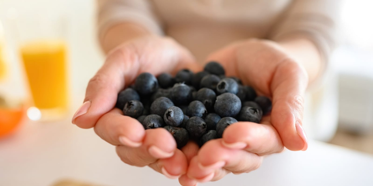 ¿Por qué los arándanos podrían ser beneficiosos para el tratamiento del Alzheimer?