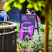 Feria Bocas Moradas: la gran vitrina del vino de autor vuelve al Mercado Urbano Tobalaba (MUT)