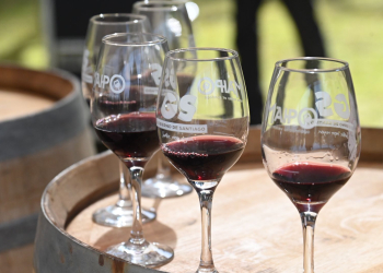 Santiago se posiciona como la capital del vino con la «Fiesta de la Vendimia  Valle Maipo 2024»