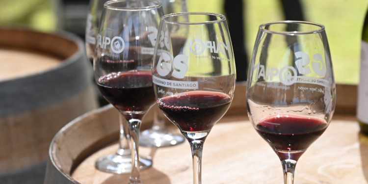 Santiago se posiciona como la capital del vino con la «Fiesta de la Vendimia  Valle Maipo 2024»