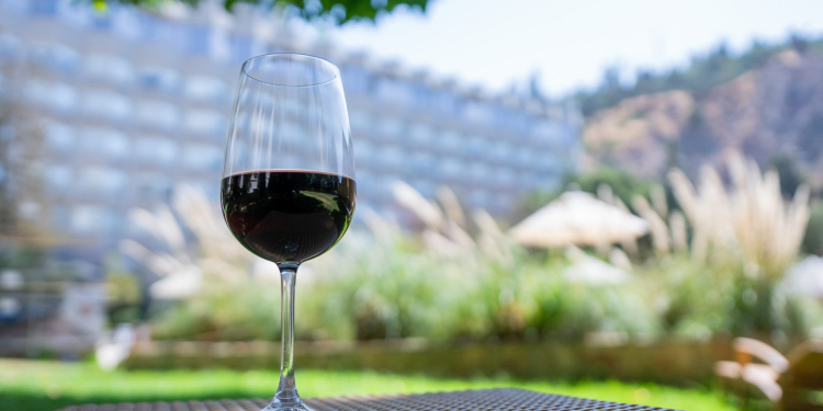 Vive la experiencia de una fiesta de la Vendimia en la ciudad