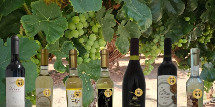 “Vino del Desierto”, destaca en Guía Latinoamericana Alistair Cooper 2024
