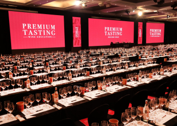 Cata de vinos Premium Tasting: toda la información referente a este evento espectacular, que año a año congrega a los amantes del vino