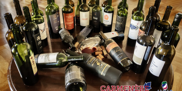 Asociación Nacional de Enólogos Agrónomos anuncia los ganadores del concurso internacional de vinos «Carmenère al Mundo 2024»