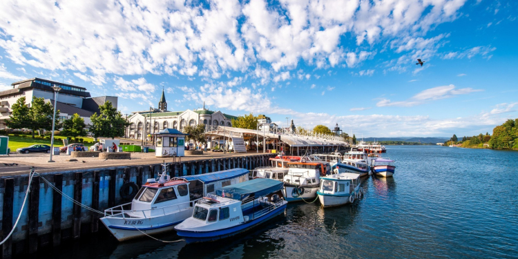 Cocina en vivo y productos locales: Los Ríos busca sorprender a visitantes de Espacio Food & Service