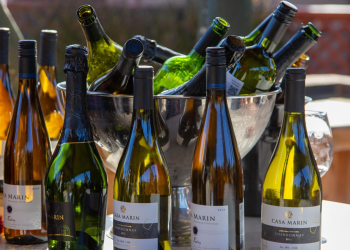 CASA DE COPAS: Viña Casa Marín organiza gran encuentro vinícola que reúne a prestigiosas viñas de todo Chile