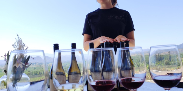 Viña Kingston y La Caperucita y el Lobo: Valparaíso y Casablanca conectados