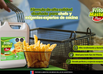 Sé un experto en frituras con Frito Master Plus