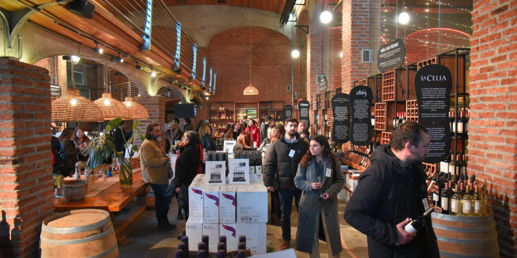 Lanzamiento Casa Viñamar 2026: Una renovada experiencia enoturística desde el corazón de Casablanca