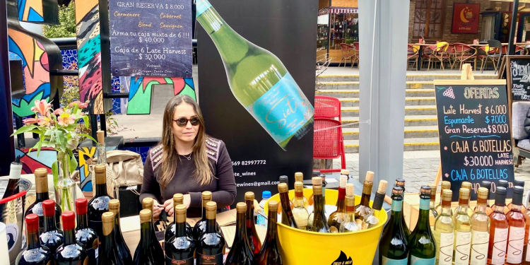 Feria D-COPAS vuelve a Patio Bellavista con su séptima  edición: vinos, música y buena onda para despedir agosto