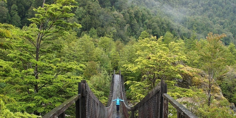 Fedetur valora programa Ruta de los Parques de la Patagonia y destaca necesidad de fortalecer infraestructura y promoción conjunta