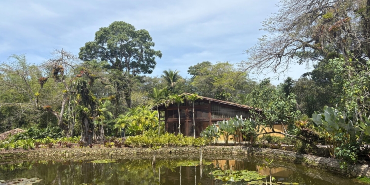 De Ilhabela a Paraty: Las 5 experiencias que no puedes dejar de vivir en la Costa Verde de Brasil