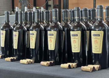 Viña Santa Ema celebra 30 años de su vino ícono Catalina testigo clave de su evolución como viña familiar con proyección global