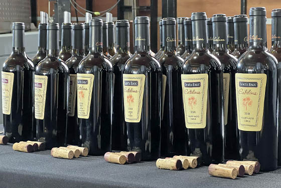 Viña Santa Ema celebra 30 años de su vino ícono Catalina testigo clave de su evolución como viña familiar con proyección global