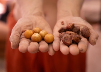 Atacama SuperFoods:  Contribuyendo a identidad culinaria y sostenibilidad a través del chañar y el algarrobo