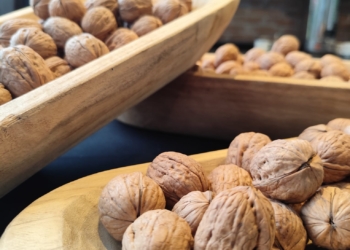 ¿Por qué comer 5 nueces al día puede cambiar tu vida?