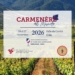 Carmenère al Mundo 2026 tendrá como anfitrión el valle de Curicó
