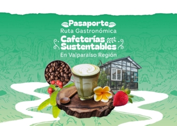 Ruta de Cafeterías sustentables en Valparaíso: identidad, oficio y sustentabilidad en cada taza