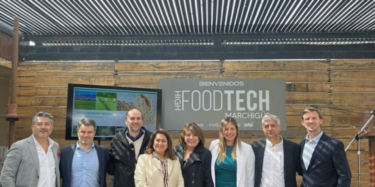 IIMAS Food impulsa la innovación en proteínas vegetales y acelera el desarrollo de soluciones alimentarias de nueva generación