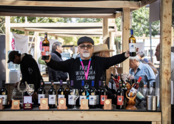 San Fernando celebra su vendimia con 28 viñas y show musical