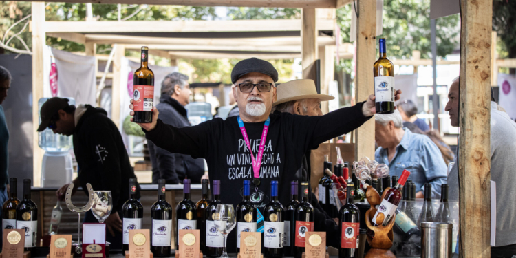 San Fernando celebra su vendimia con 28 viñas y show musical