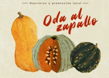 Mercado de Otoño en MUT rinde homenaje al zapallo