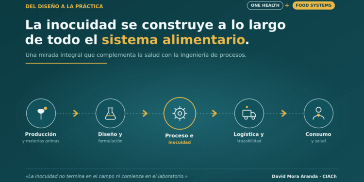 Del diseño a la práctica: Por qué Chile necesita ingenieros de alimentos en la implementación de su Política de Inocuidad