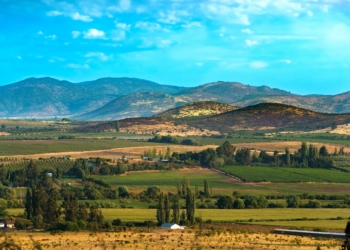 La Región del Maule será la gran invitada de honor en Espacio Food & Service 2026