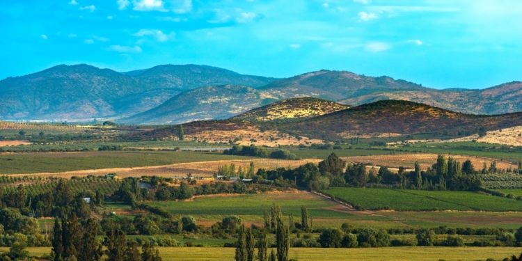 La Región del Maule será la gran invitada de honor en Espacio Food & Service 2026