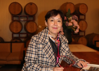 Viña Ravanal: donde los viñedos centenarios mantienen viva la historia de Colchagua