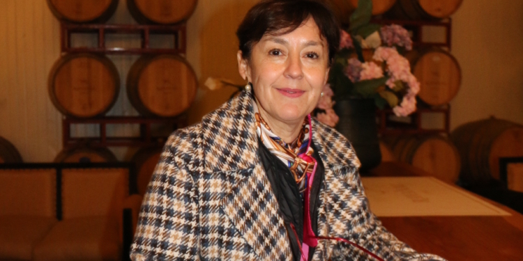 Viña Ravanal: donde los viñedos centenarios mantienen viva la historia de Colchagua