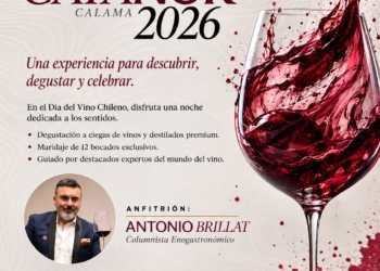 CataNor 2026: El Despertar de los Sentidos en el Corazón del Desierto