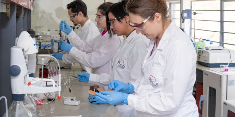 Valdivia será sede del Seminario “Food Innova Los Ríos”: Presentarán oportunidades tecnológicas para la transformación de la industria alimentaria