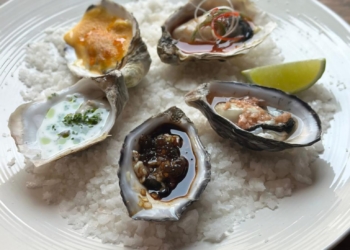 La Ostra Japonesa busca volver a las mesas chilenas: iniciativa impulsa su producción y abre nuevas oportunidades para la gastronomía