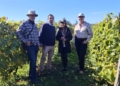 Vitis Los Lagos, el territorio aprende a convertirse en vino